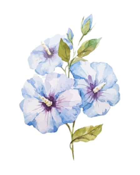 Bellemere